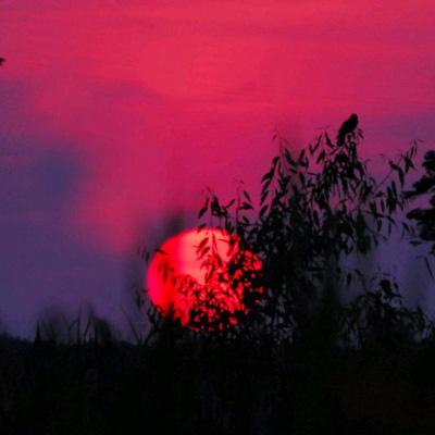 网易封神奇谭手游下载