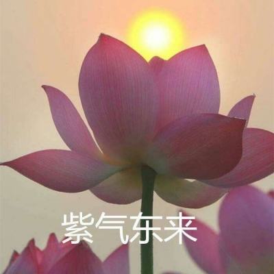 轩辕修仙传手游破解版下载